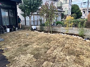 芝張り