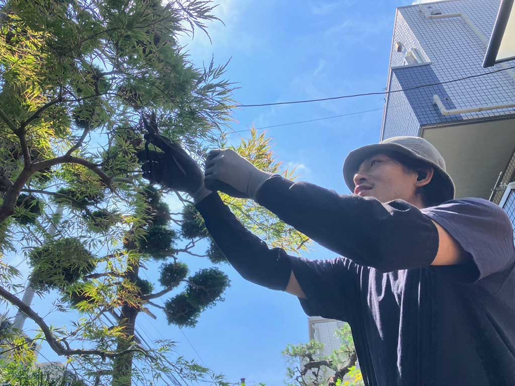植栽管理工事