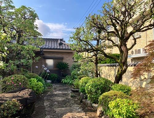 その後の植栽管理もOK!