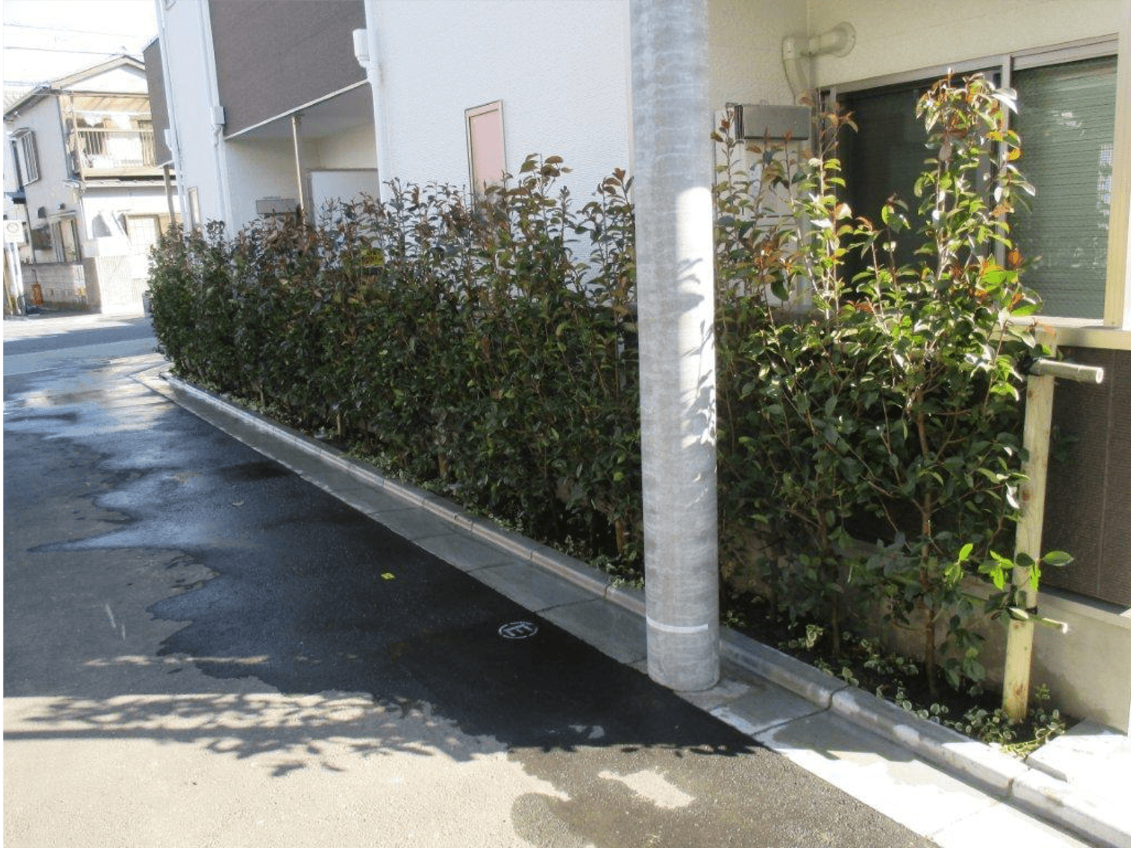 江東区集合住宅 — 施工後 3