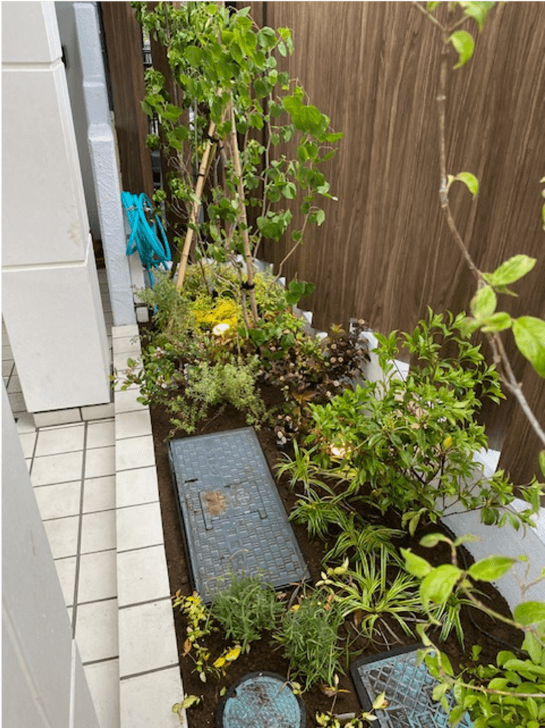 板橋区集合住宅 — 施工後 5