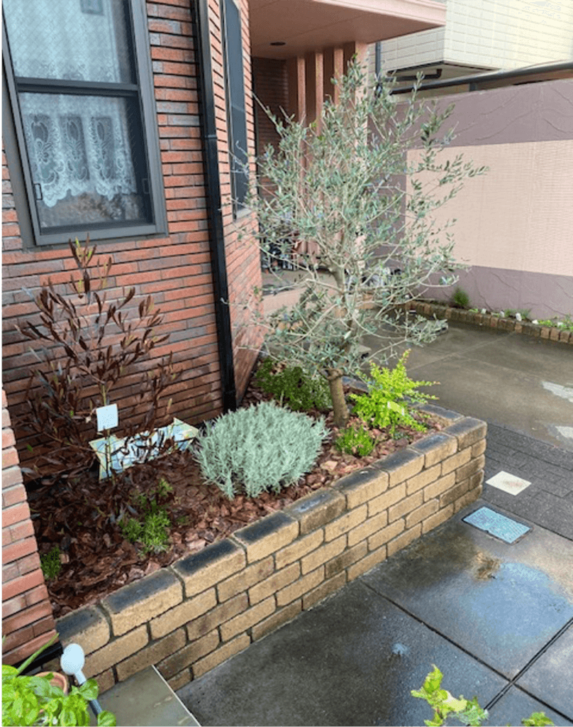 練馬区 個人邸 — 施工後 3