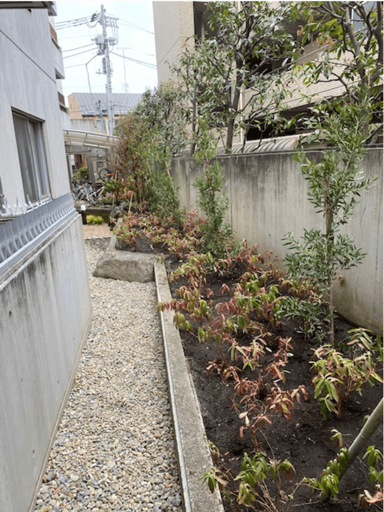 新宿区集合住宅 — 施工後 5